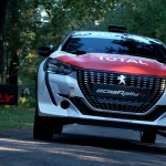 صور Assetto Corsa Rally