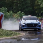 صور Assetto Corsa Rally