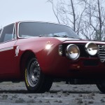 صور Assetto Corsa Rally
