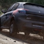 صور Assetto Corsa Rally
