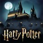 harry potter hogwarts mysteary