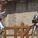 صور Half Sword