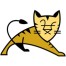 apache tomcat