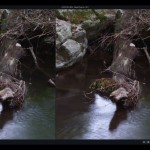 صور Topaz Photo AI