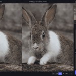 صور Topaz Photo AI