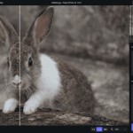 صور Topaz Photo AI